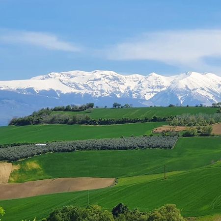 Casa Ciuffina Bed & Breakfast Civitella Casanova Dış mekan fotoğraf