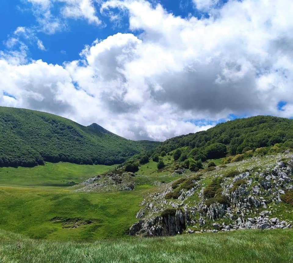 Casa Ciuffina Bed & Breakfast Civitella Casanova Dış mekan fotoğraf