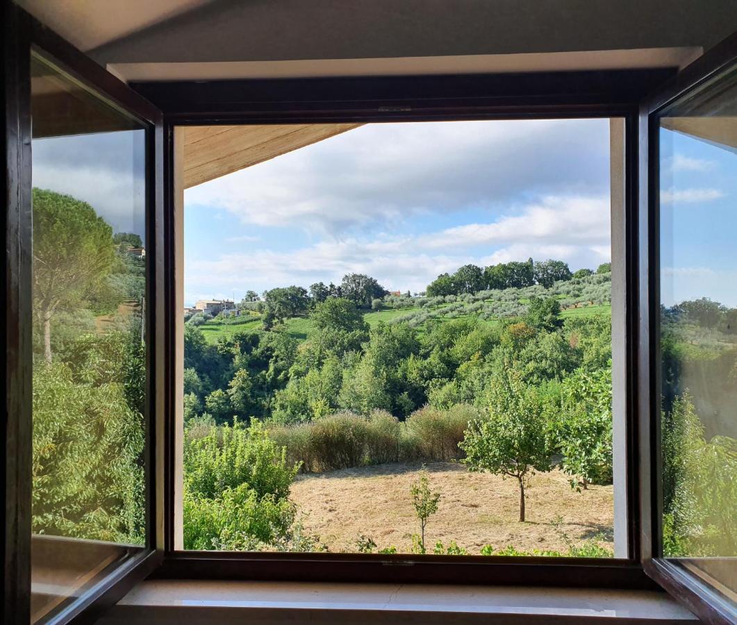Casa Ciuffina Bed & Breakfast Civitella Casanova Dış mekan fotoğraf