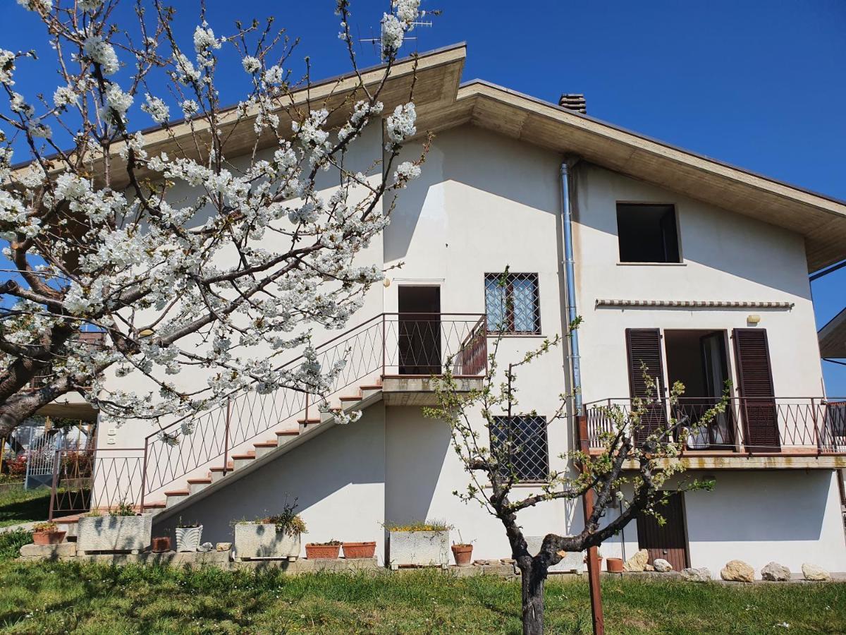 Casa Ciuffina Bed & Breakfast Civitella Casanova Dış mekan fotoğraf