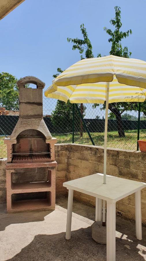 Casa Ciuffina Bed & Breakfast Civitella Casanova Dış mekan fotoğraf