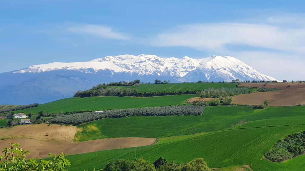 Casa Ciuffina Bed & Breakfast Civitella Casanova Dış mekan fotoğraf