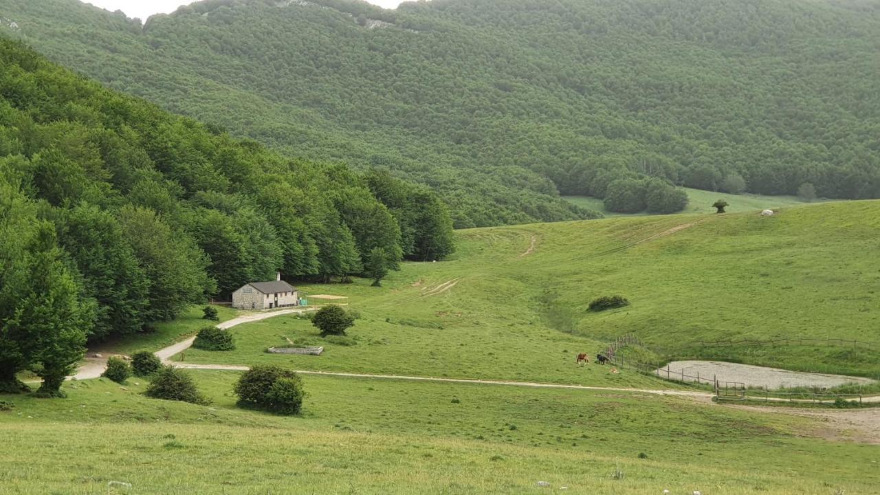 Casa Ciuffina Bed & Breakfast Civitella Casanova Dış mekan fotoğraf