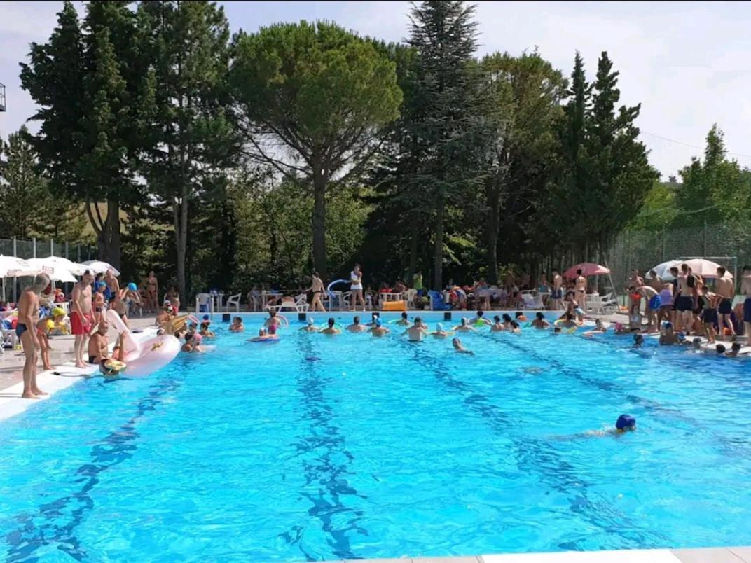 Casa Ciuffina Bed & Breakfast Civitella Casanova Dış mekan fotoğraf