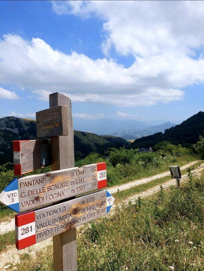 Casa Ciuffina Bed & Breakfast Civitella Casanova Dış mekan fotoğraf